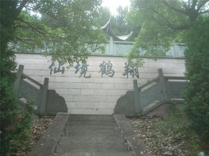 仙鶴股份有限公司官方網站 仙鶴股份有限公司官方網站